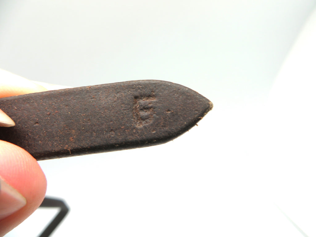 Full Size Figure 8 Noseband
