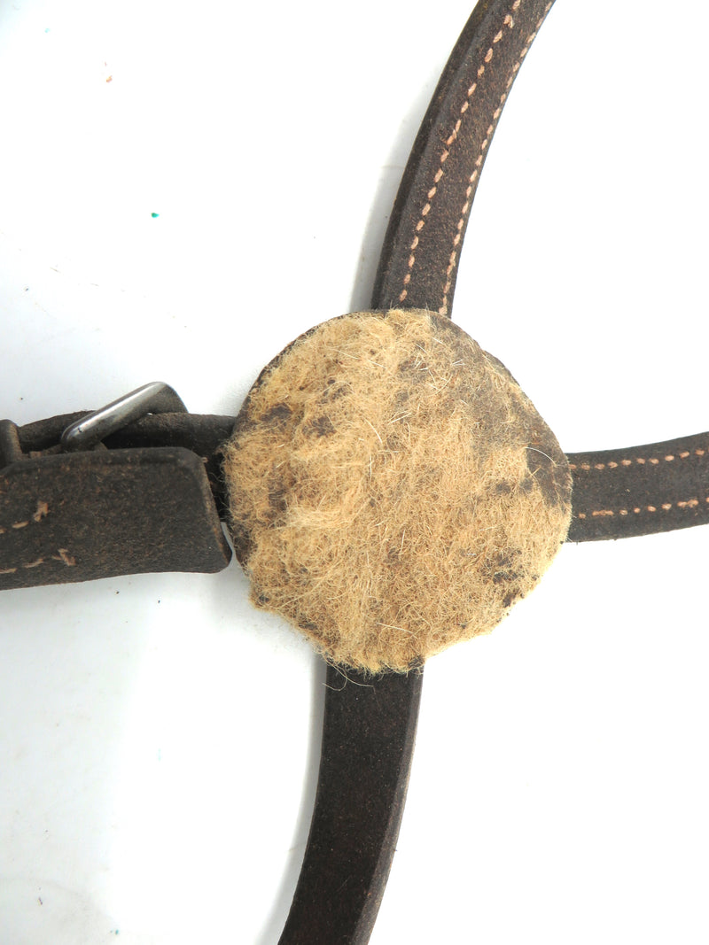 Full Size Figure 8 Noseband